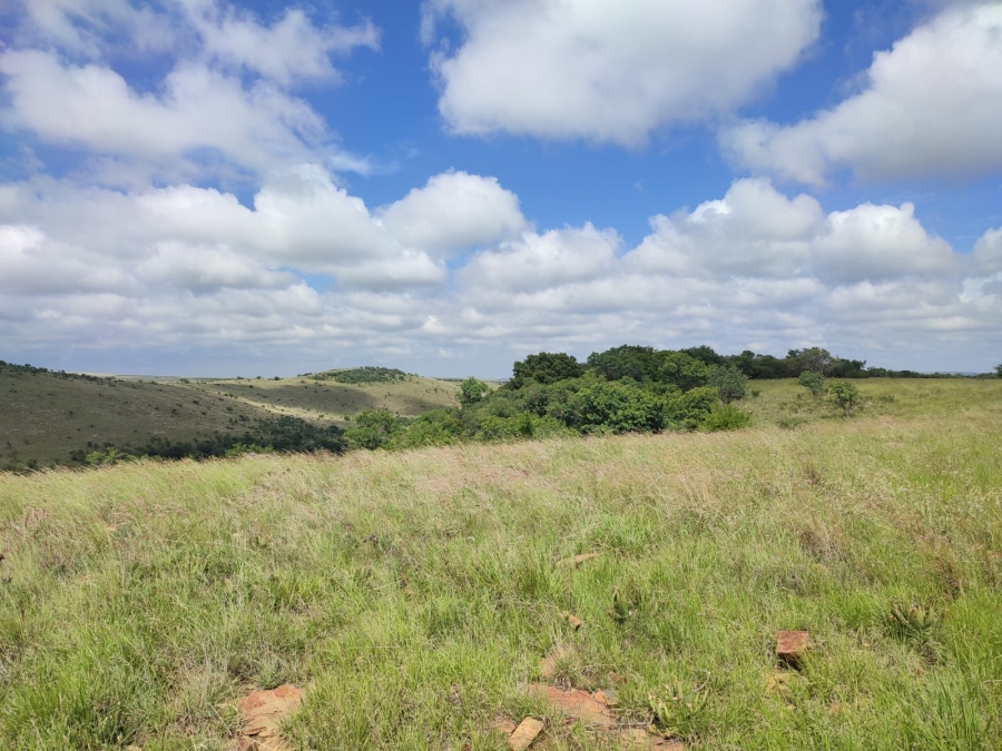 0 Bedroom Property for Sale in Swartruggens North West